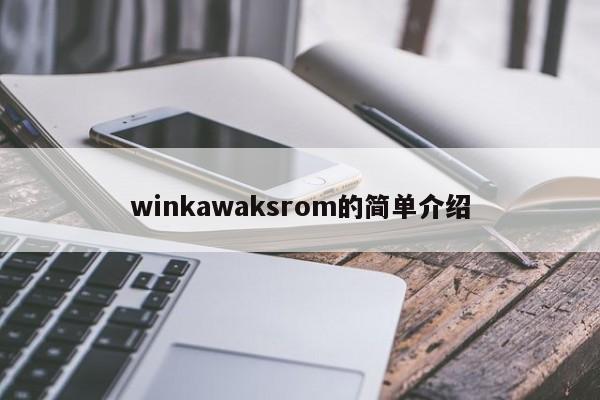 winkawaksrom的简单介绍